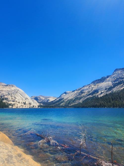 oneshotolive:  Lake Tenaya, CA, USA (OC)