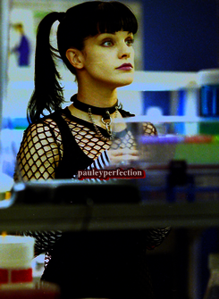 pauleyperfection: Call of Silence || NCIS