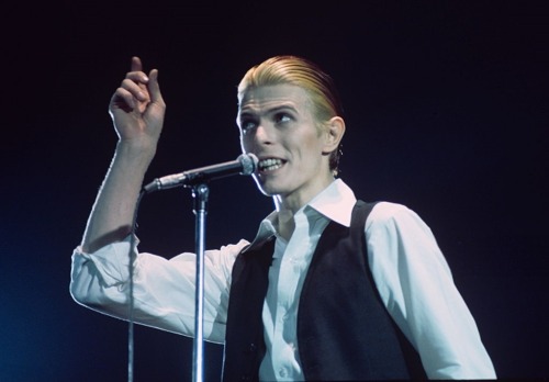 nightspell:David Bowie, May 13, 1976, Ahoy, Rotterdamphotos by Gijsbert Hanekroot