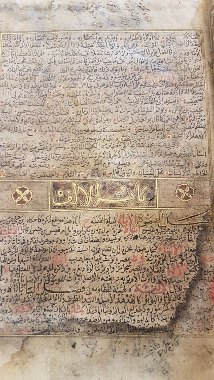 LJS 387 - Qāmūs al-muḥīṭThis manuscript, written in western Persia around the year 1400 CE, is 