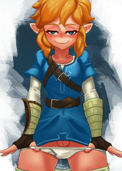 undeadfelcat:Link, from Breath of the Wild
