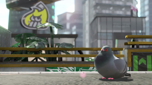 jinglefruit:Very important new character in Splatoon 2 Preordering for this.