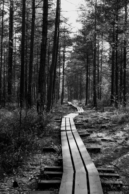 Pathway by NorthernFlake adult photos