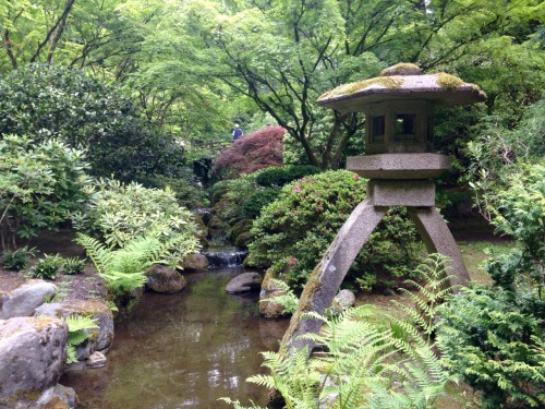 tikisun: Feeling really zen at the Japanese Gardens