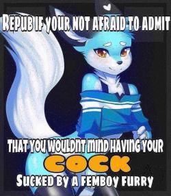 furrylover2000:  goldfurrydiamond:    Please (Kik DemonBlood250)