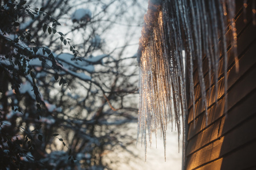 icicle town. parker young : portfolio | tumblr | instagram