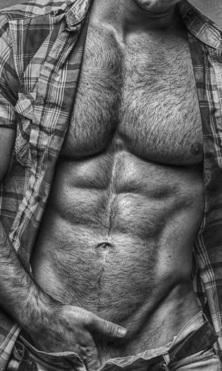For the Love of Fur!