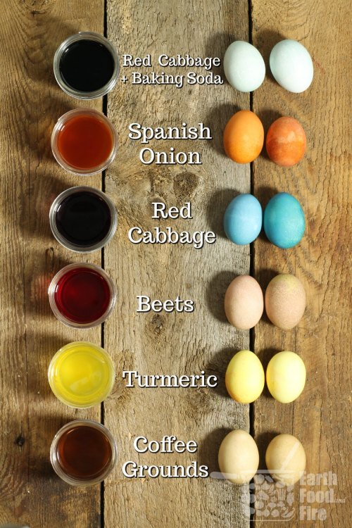 foodffs:Use vegetable scraps and spices to dye your Easter eggs this year with homemade plant dyes. 
