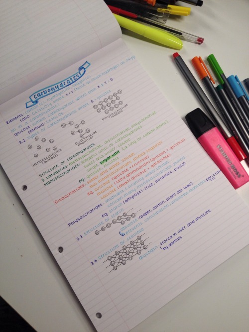 22:33 | Revising Bio