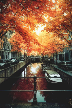 italian-luxury:  Amsterdamn Autumn  | Source 