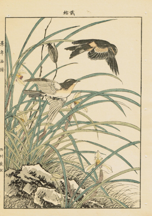 ukiyoecosmos: Japanese Antique Original Woodcut Print, Imao Keinen, “Sanran, Barn swallow&rdqu