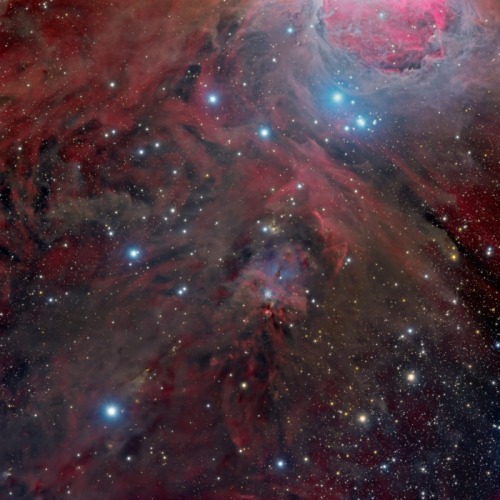 At the Feet of Orion (NGC 1999) Full Field by Marco Lorenzi [700x700]