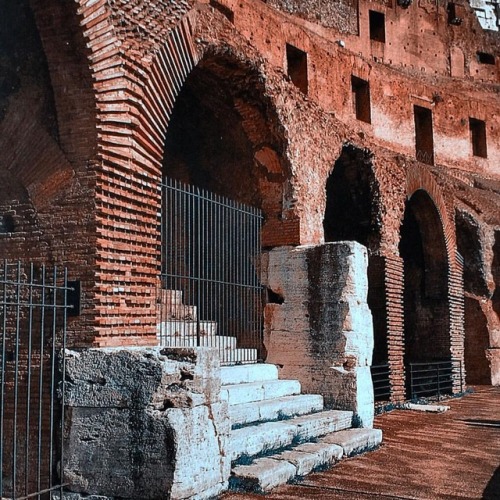 historyoftheancientworld: Inside the Colosseum #colosseum #flavianamphitheatre #amphitheater #gladia