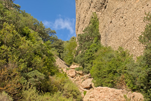 Montserrat mountain landscape Prints avaiable in my Redbubble shop and on Wekaandemuur