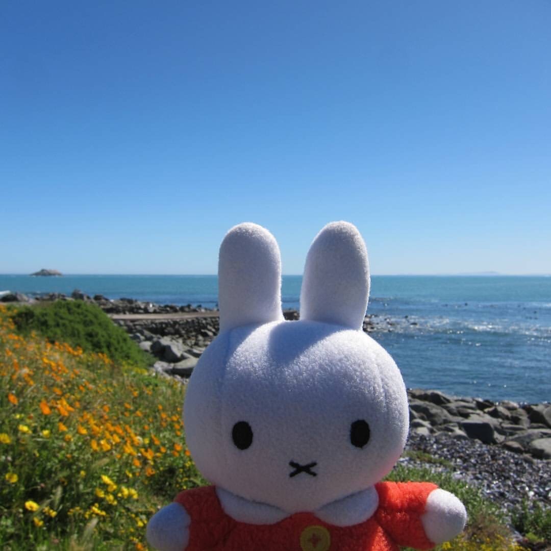 howareubread:http://instagram.com/adventurabbit