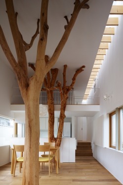 nonconcept:  Garden tree house, Kagawa, Japan by Hironaka Ogawa Associates. 