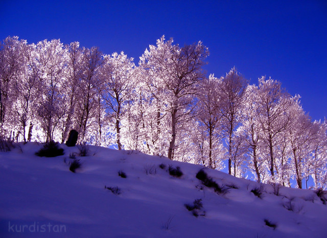 Photography: @kurdistan #landscape#photography#nature#travel#travelphotography#aesthetic#scenery#landscapephotography#landscape photography#sky#clouds#naturephotography#nature photography#winter#snow#holiday#trees