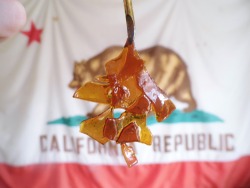 dabhabit:  Happy shatterday! ;)