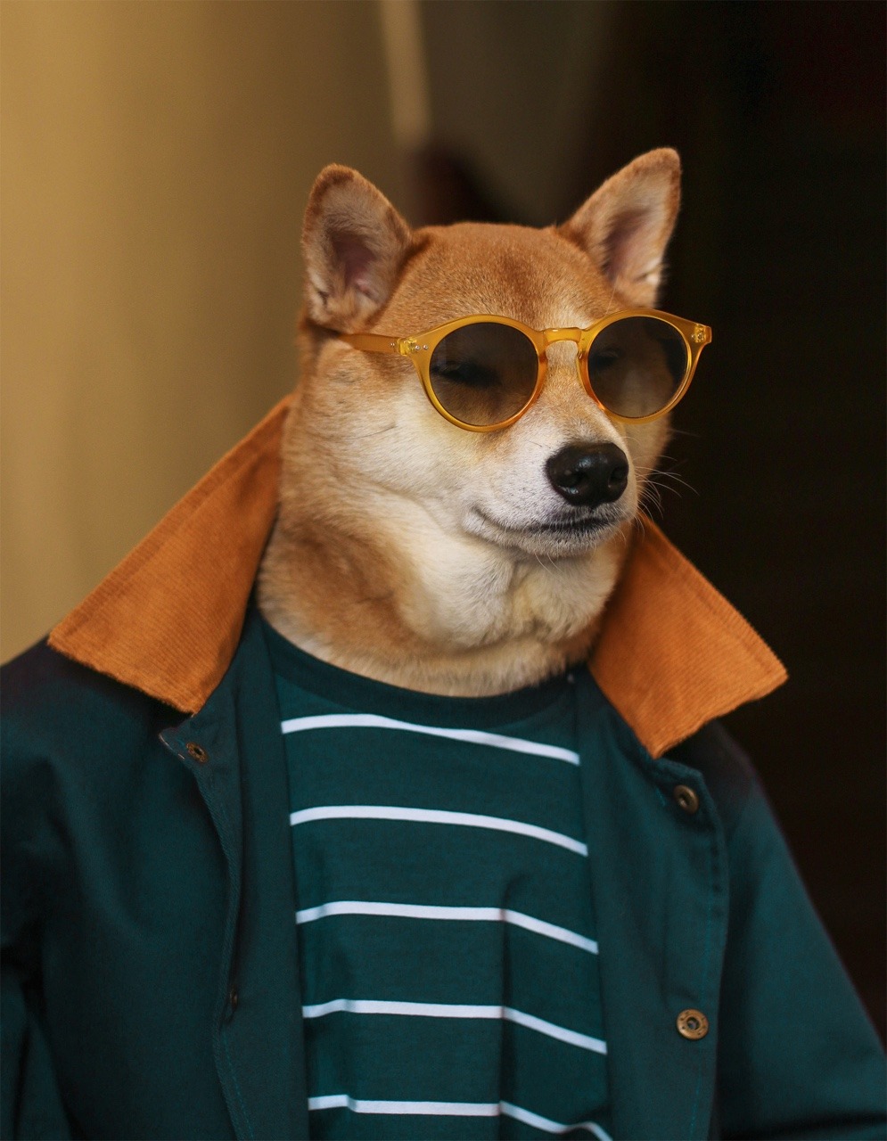 bodhi menswear dog