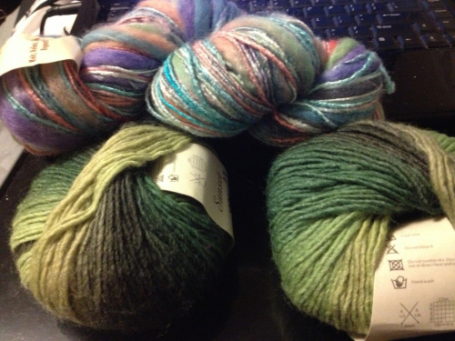 January 24- bought fabulous new yarn to knit things for my impending step-niece