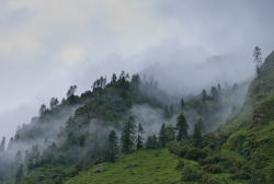 eartheld:  vhord:  vhord:  lastinq:  90377:  Langtang trek, day 3 - hills and clouds by andrewinpompey  //nature//  strictly nature  strictly nature  +