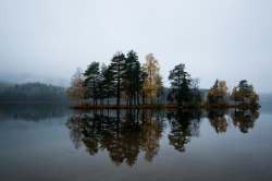 photosofnorwaycom:  Sognsvann Lac (via David Berbille) 