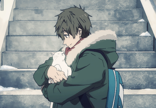 (heart)coma