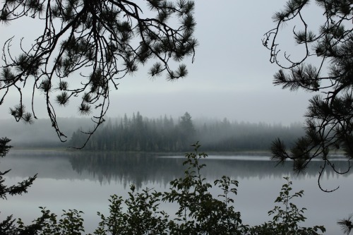 rock-cedar-mosquito:One of the mistiest, rainiest canoe trips I’ve ever been on