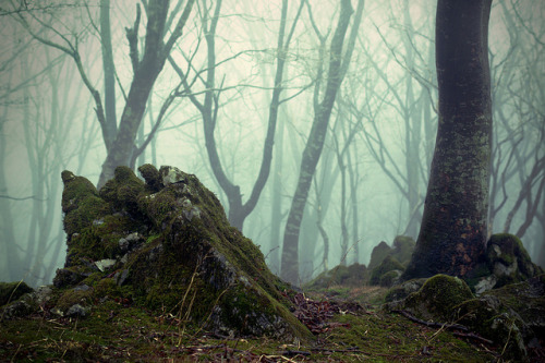 Mt. Ryozen / Shiga Prefecture by sf1003！ on Flickr.