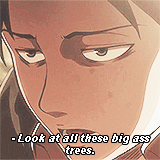 envy-and-pride:  SNK quotes - everyone (wtf) 