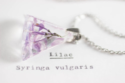 mossofthewoodsjewelry: Hey folks! I’m going to be putting out the first shop update of 2018 tomorrow! I’ve got what is probably the last three Lilac pendants (and one Lilac pendulum) until I can gather more in late May or so. I’ve also got a few