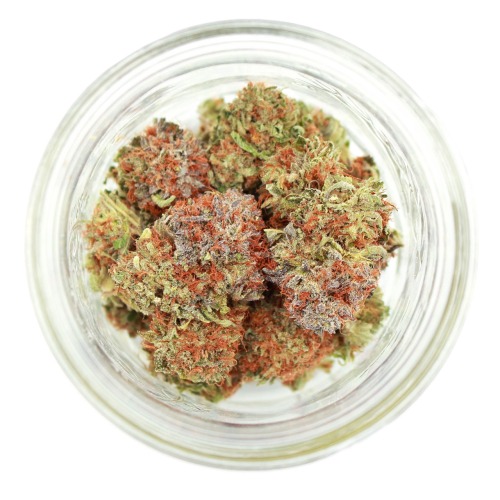 capturekitty:Bubba Kush looking colorful