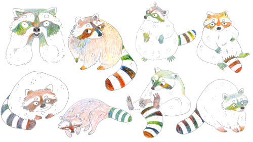 tinyratmagic:raccoons!