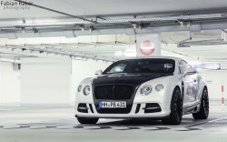 automotivated:  Mansory Continental GT by Fabian Räker | photography on Flickr. 