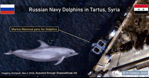 Satellite Photos Suggest Russia Sent Trained Dolphins To War In Syria Satellite imagery from Nov 2 2