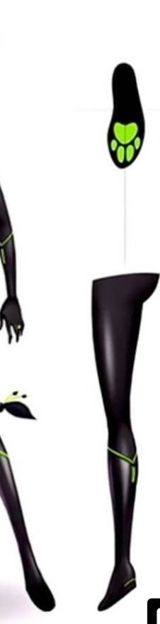 geekgirles:  If you’re female and the wielder of a mammal based miraculous, then