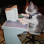 i-enjoy-stupid-cat-pics