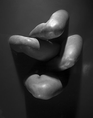 Quello che cerchi