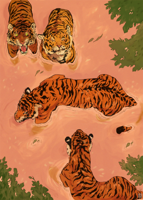 vincenzio-art:  Something calming, something wild, something pink, welcome to Tiger Beach Instagram//Print//Ko-Fi//Twitter please don’t remove caption 