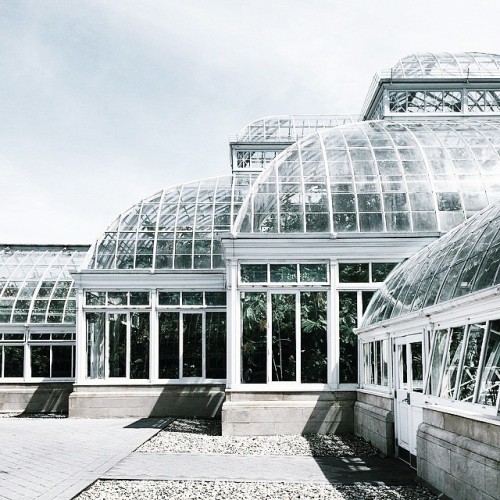 thesoutherly:  New York Botanical Garden.