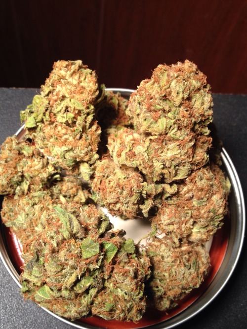 naaature-high:  Da new new 💦