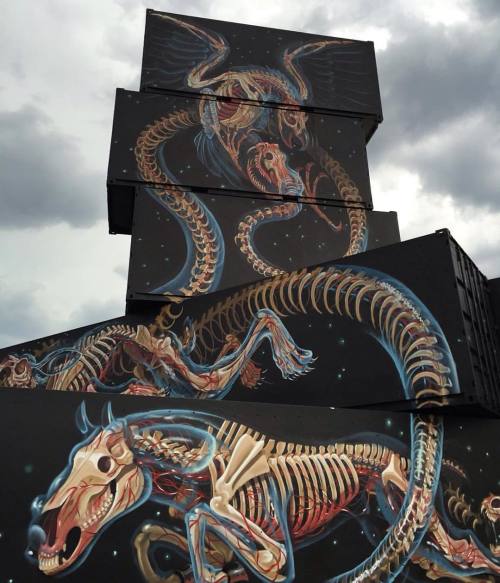 Detail pic of the tower of x-ray. Done earlier this year in Belgium by Nychos @nychos  #streetart #g