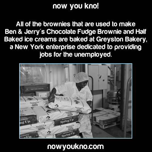 havocados:  pixie-hollows:  lambstrade:  thetimelordtitanshifter:  nowyoukno:  Now You Know more about Ben & Jerry’s! (Source)  I now love Ben and Jerry’s even more  *applies to work at Ben and Jerry’s*   This is why Ben and Jerry’s is important.