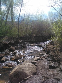 Got good and muddy at the Bear Creek Dog