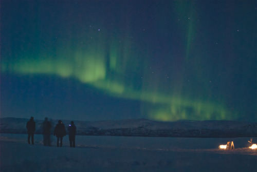 Abisko AuroraTaken last month in Abisko Northern Sweden