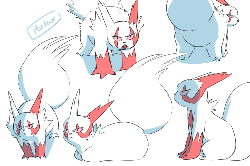 Zangoose Sketches 4Thought I’d do some of him on all 4′s as well