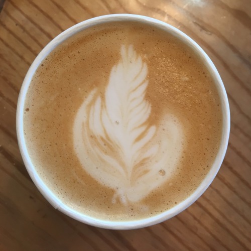 it’s latte season ☕️ time to start adult photos