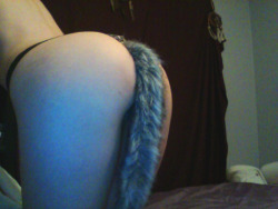 d-r-u-i-a-m-o:  This tail is seriously the cutest thing in the world right now. 