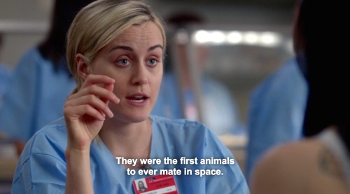 orangeis:  Piper Chapman: Lover of cockroaches everywhere. Character development!