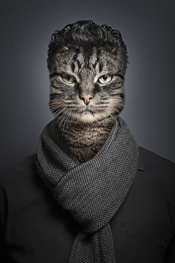 viejospellejos:  Cat StyleUndercats - Sebastian Magnani